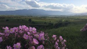 "Форбс" препоръчва България за 2017 г.