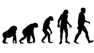 Еволюцията на човека