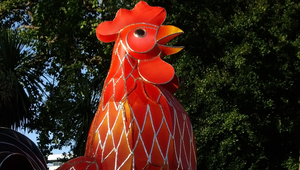 Огненият петел на 2017 г.