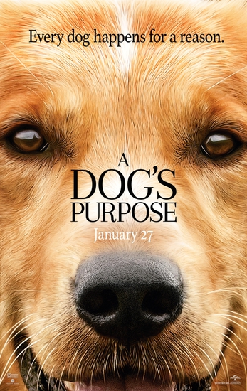 Плакат за филма "Кучешки живот" (2017)