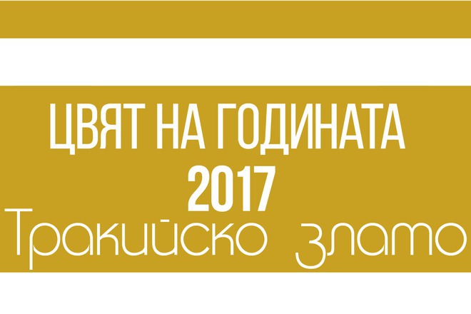 Trakiysko zlato tsvetat na 2017 g