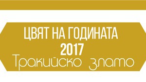 Тракийско злато - цветът на 2017 г.