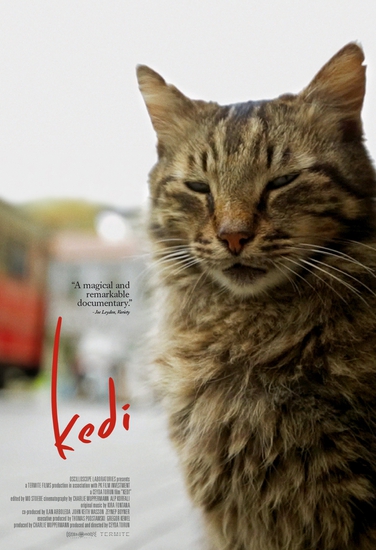 Котка на плакат за документалния филм Kedi (2016)