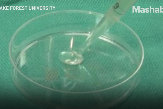 3d printer za nanasyane na kozhni kletki