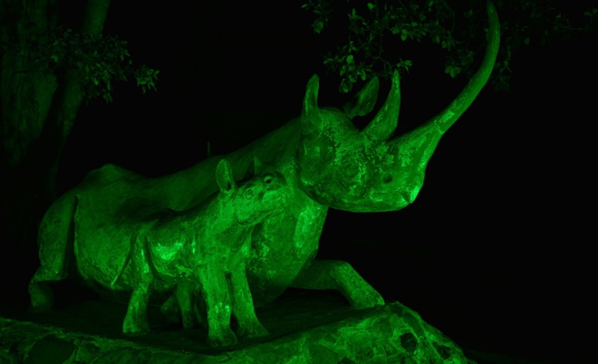 Носорози в зелено за деня на св. Патрик