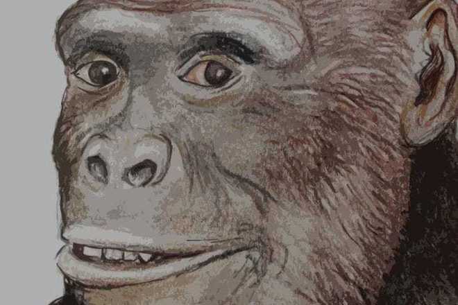 Vazstanovka na litseto na grekopiteka