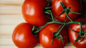 Да държим ли доматите в хладилника или не?