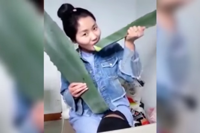 Vlogarka se natrovi zhivo v internet izyazhdayki greshnoto rastenie