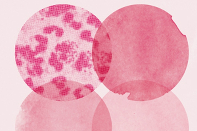 Virusat na gonoreyata pod mikroskop