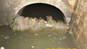 Запушената канализация на бул. "Черни връх"