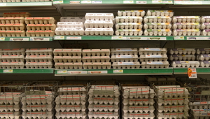 Яйца в търговската мрежа