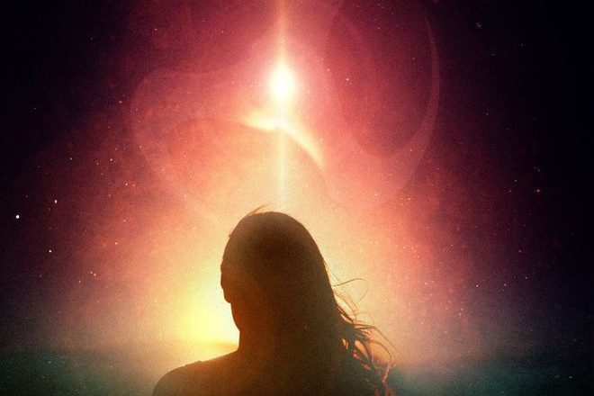  shirinata na sveta ot deyvid baldachi