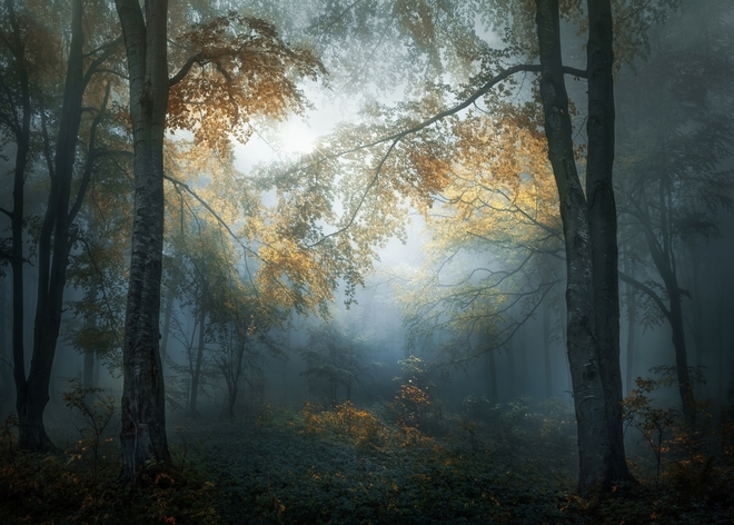 "Ранна есен" от Веселин Атанасов