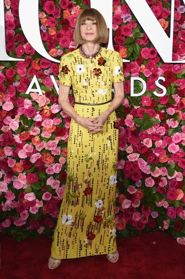 Ана Уинтур на наградите "Тони 2018"
