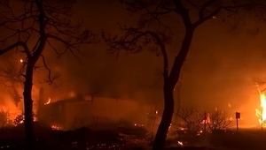 Смъртоносните пожари в Гърция