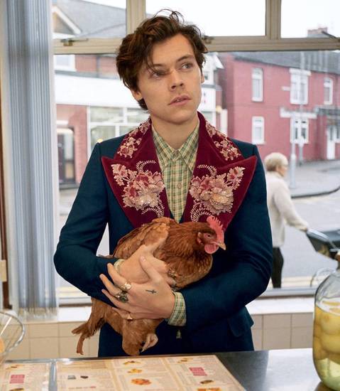 Хари Стайлс с кокошка за "Гучи"