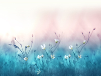 Lautusclub - Здравата коса е винаги на мода!