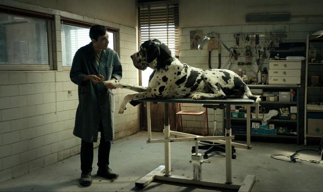 Dogman с Европейска филмова награда за Марчело Фонте