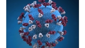 Вирусът на морбили под микроскоп