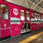 Розов влак в метрото