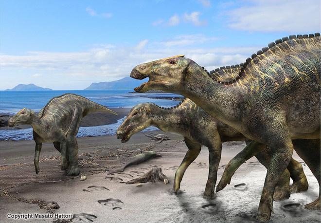 Нов вид динозавър открит в Япония