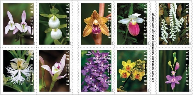 Диви орхидеи на пощенски марки