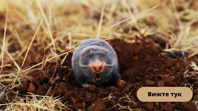 Борба с вредители