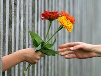 Napravi dobro na nepoznat