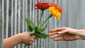 Направи добро на непознат